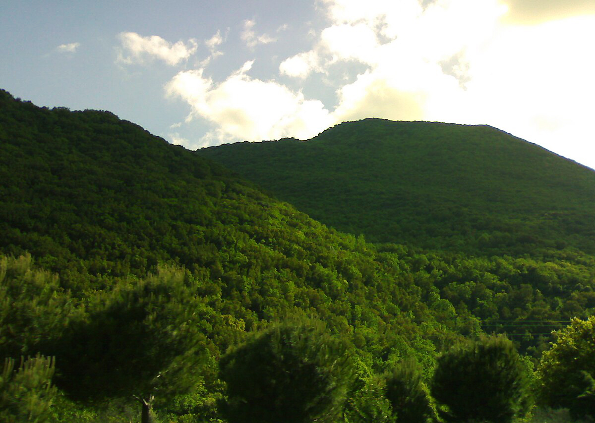 Green Heights