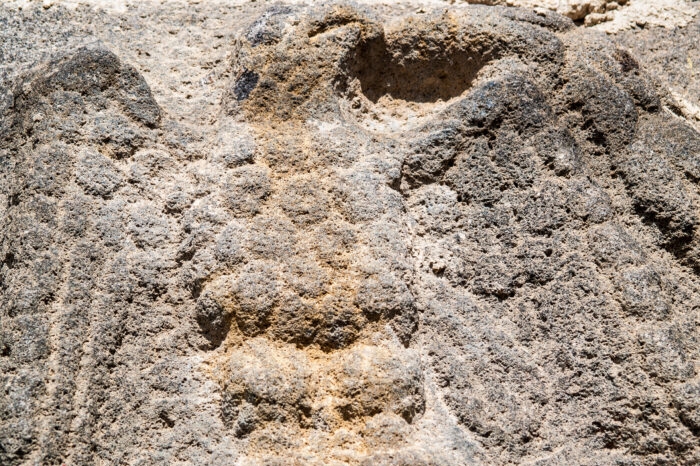 Syria Roman Archaeology