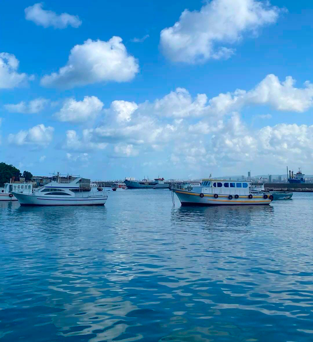 Tartus Travel Guide