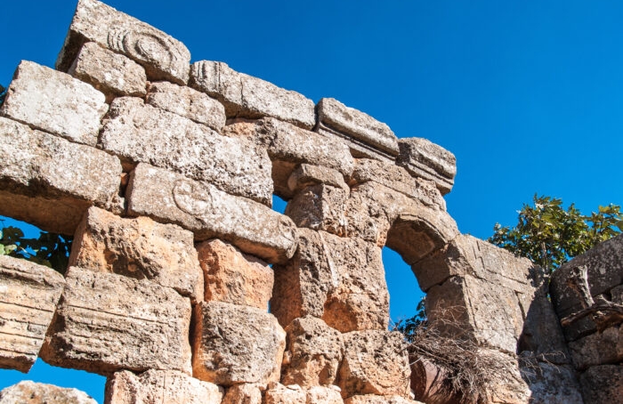 Basufan باصوفان