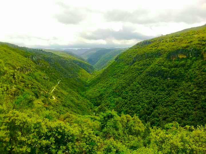 Syria Green Mountain