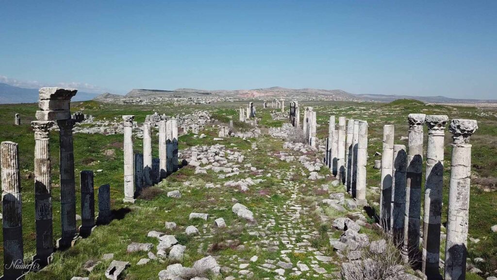 Apamea