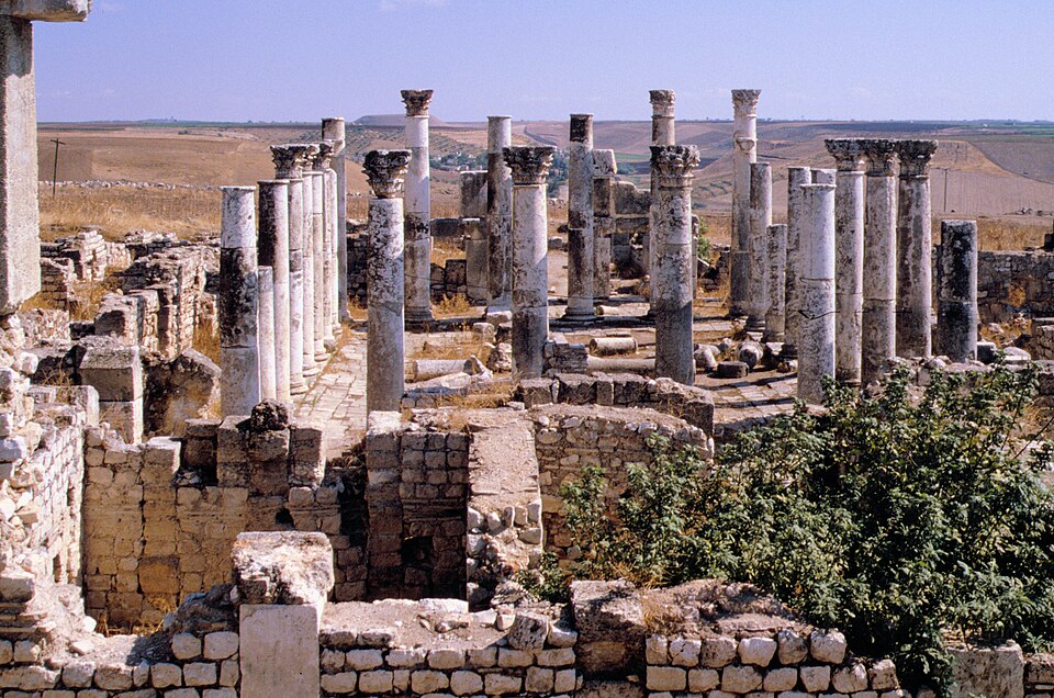 Apamea