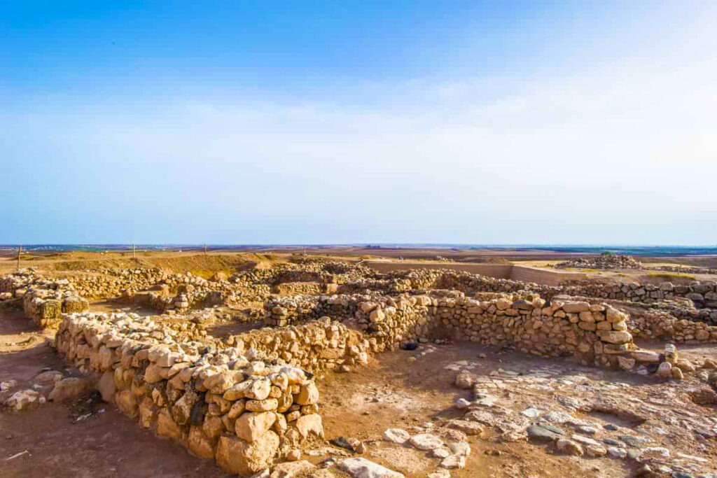 Ebla - Idlib City (North Syria) (2)