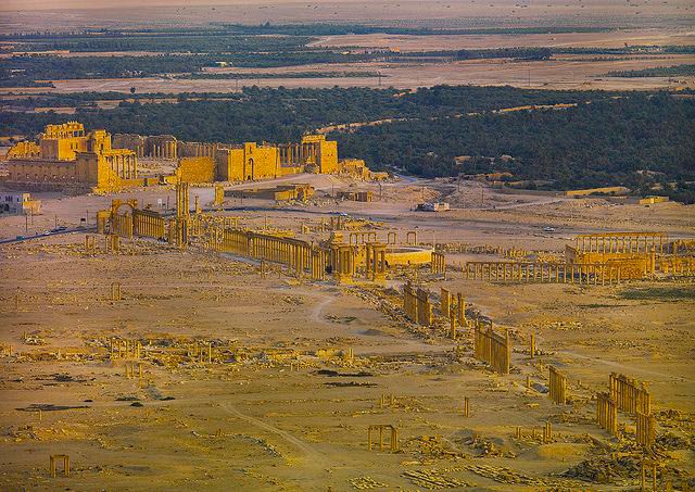 Syrian desert - Palmyra