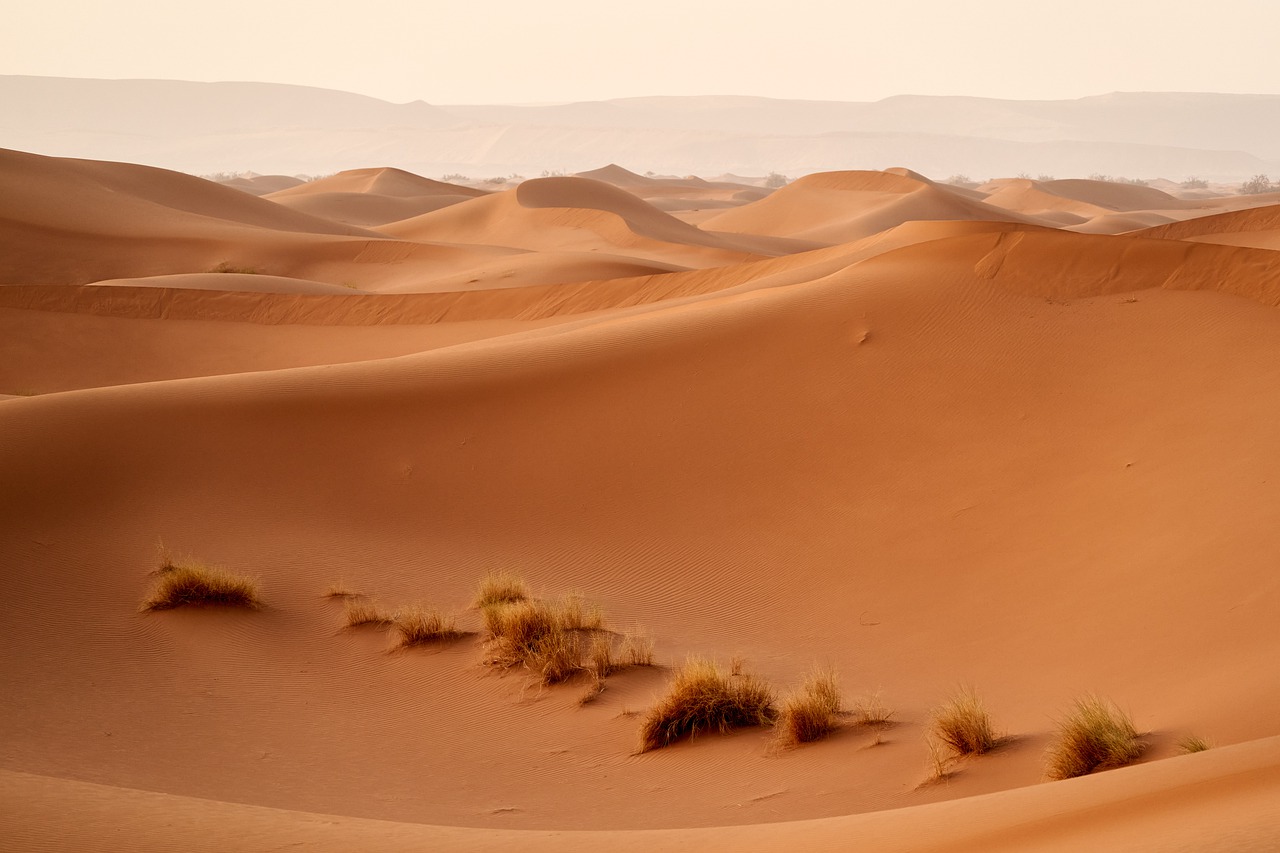 Syrian Desert